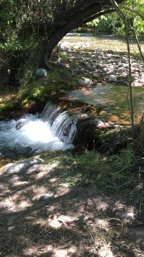 Del Río El Bolsón