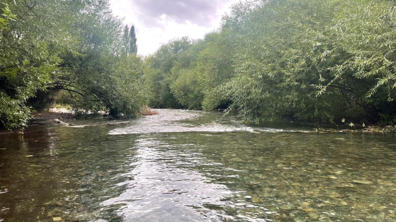 Del Río